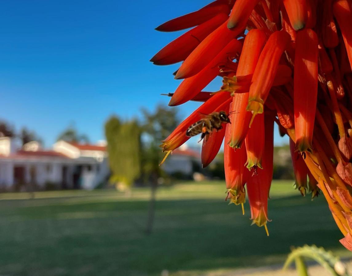Herdade Do Kuanza Zambujeira do Mar Exteriör bild